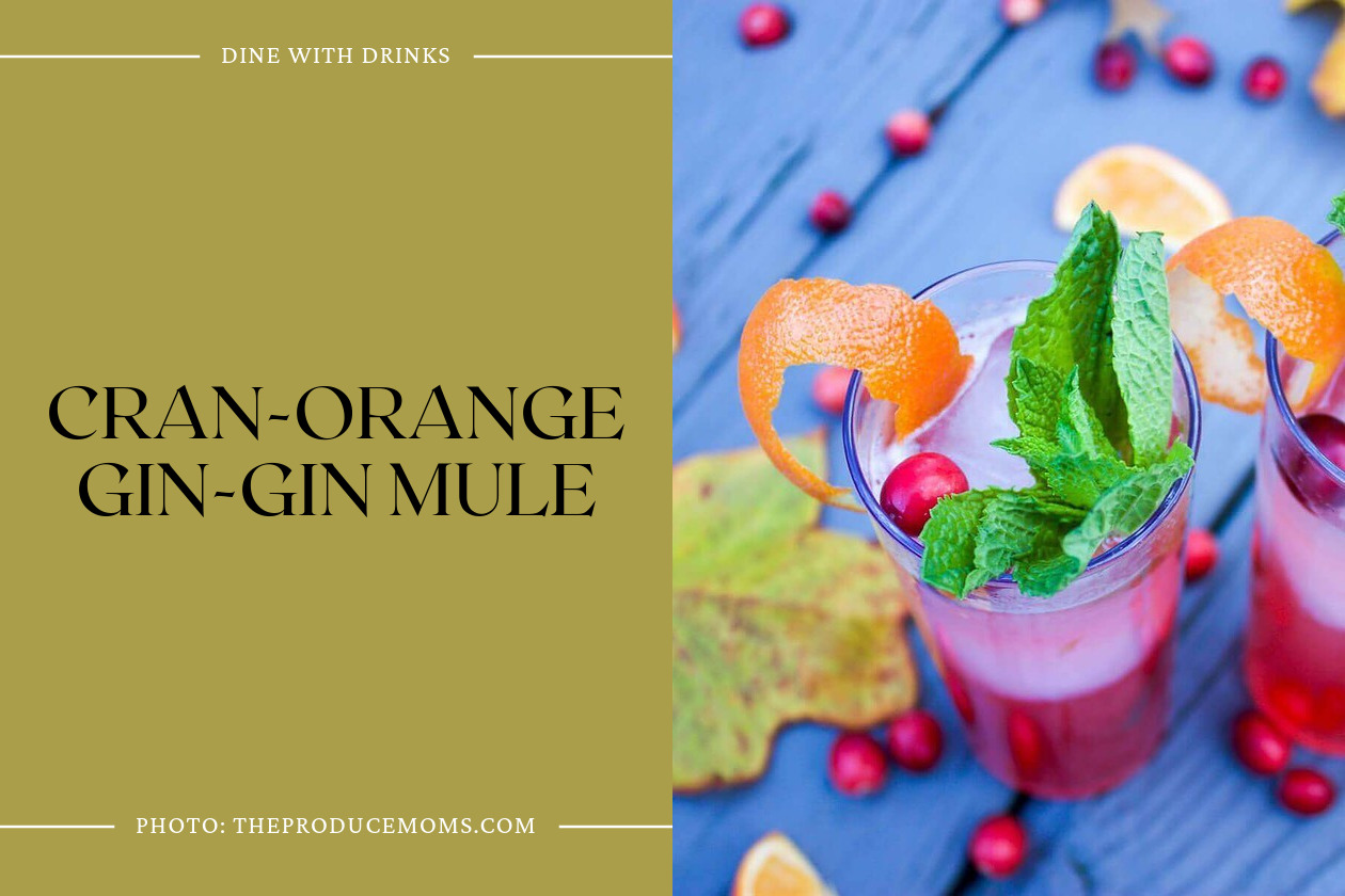 Cran-Orange Gin-Gin Mule