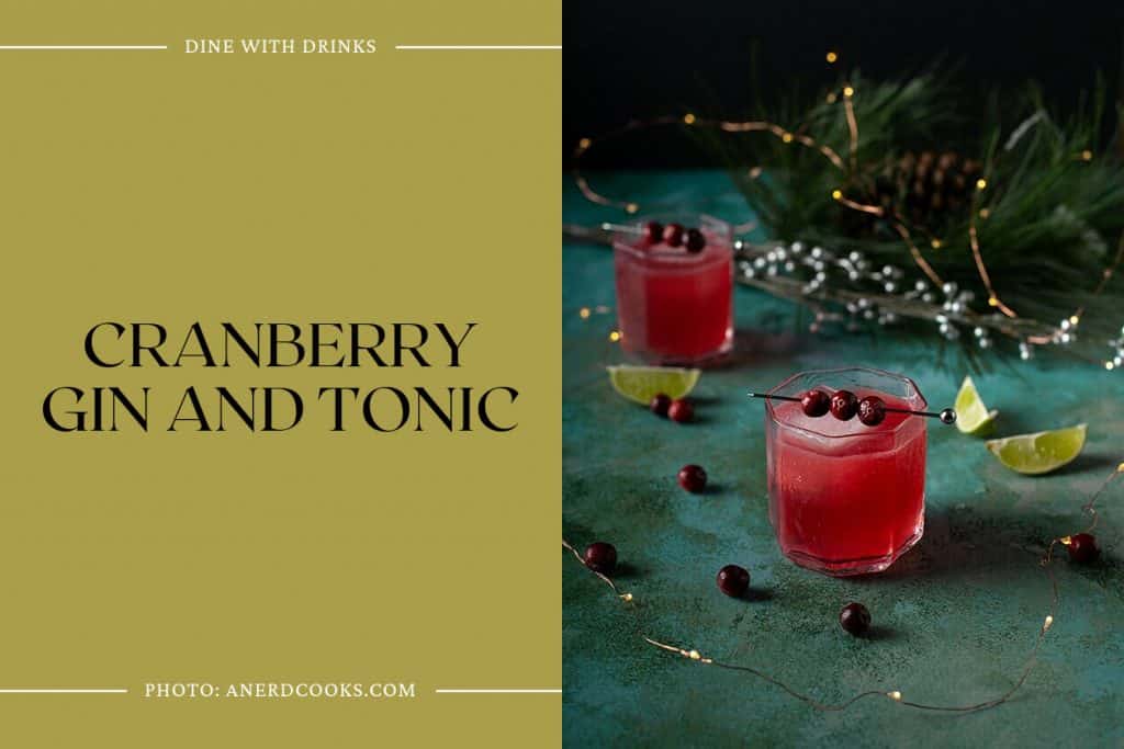 22 Cranberry Gin Cocktails To Shake Up Your Holiday Season DineWithDrinks