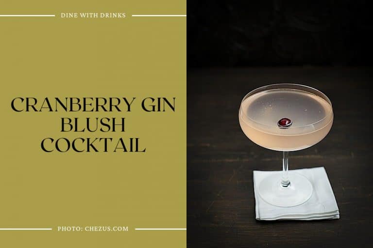 22 Cranberry Gin Cocktails To Shake Up Your Holiday Season DineWithDrinks