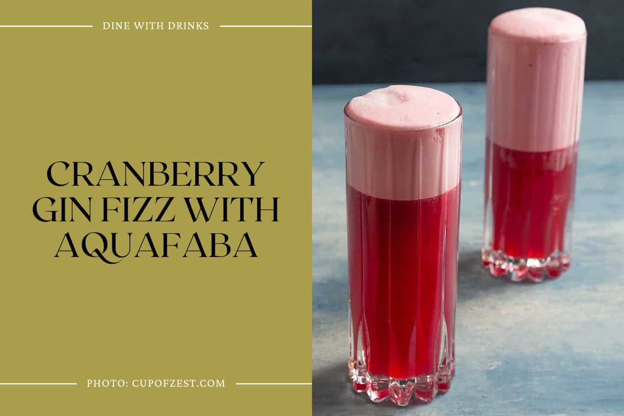 Cranberry Gin Fizz With Aquafaba