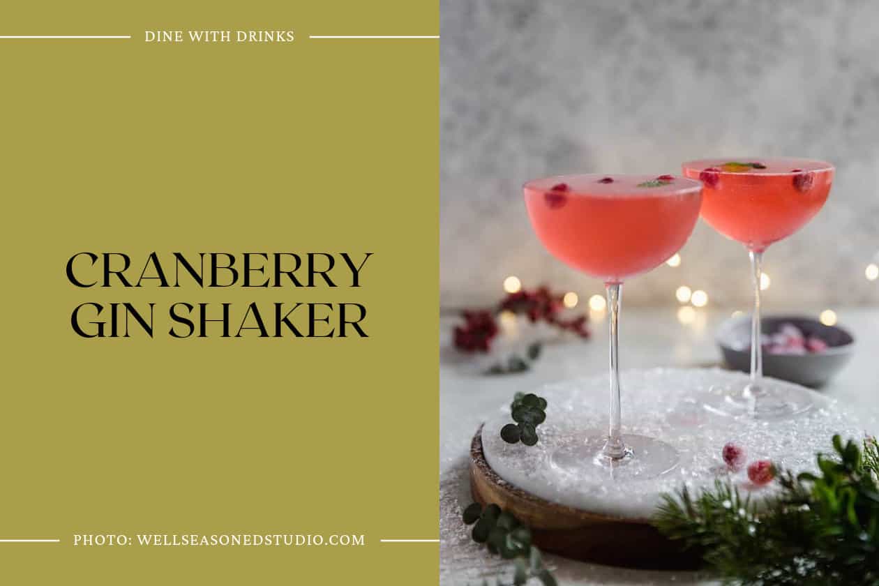Cranberry Gin Shaker