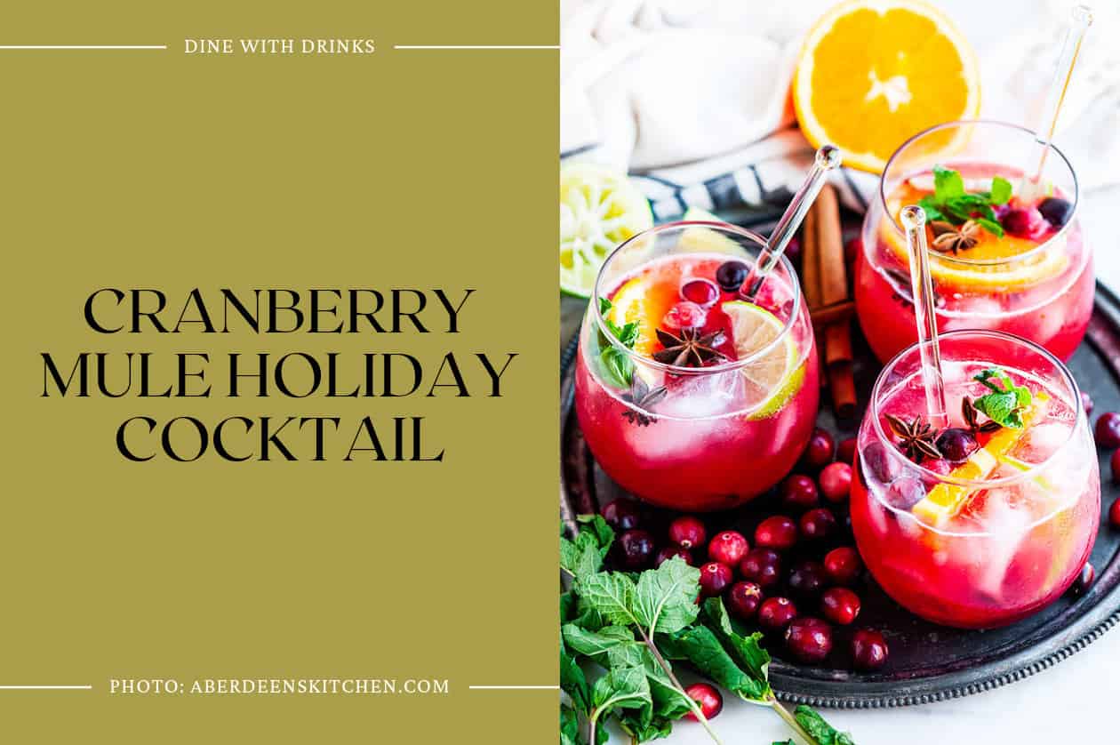 Cranberry Mule Holiday Cocktail