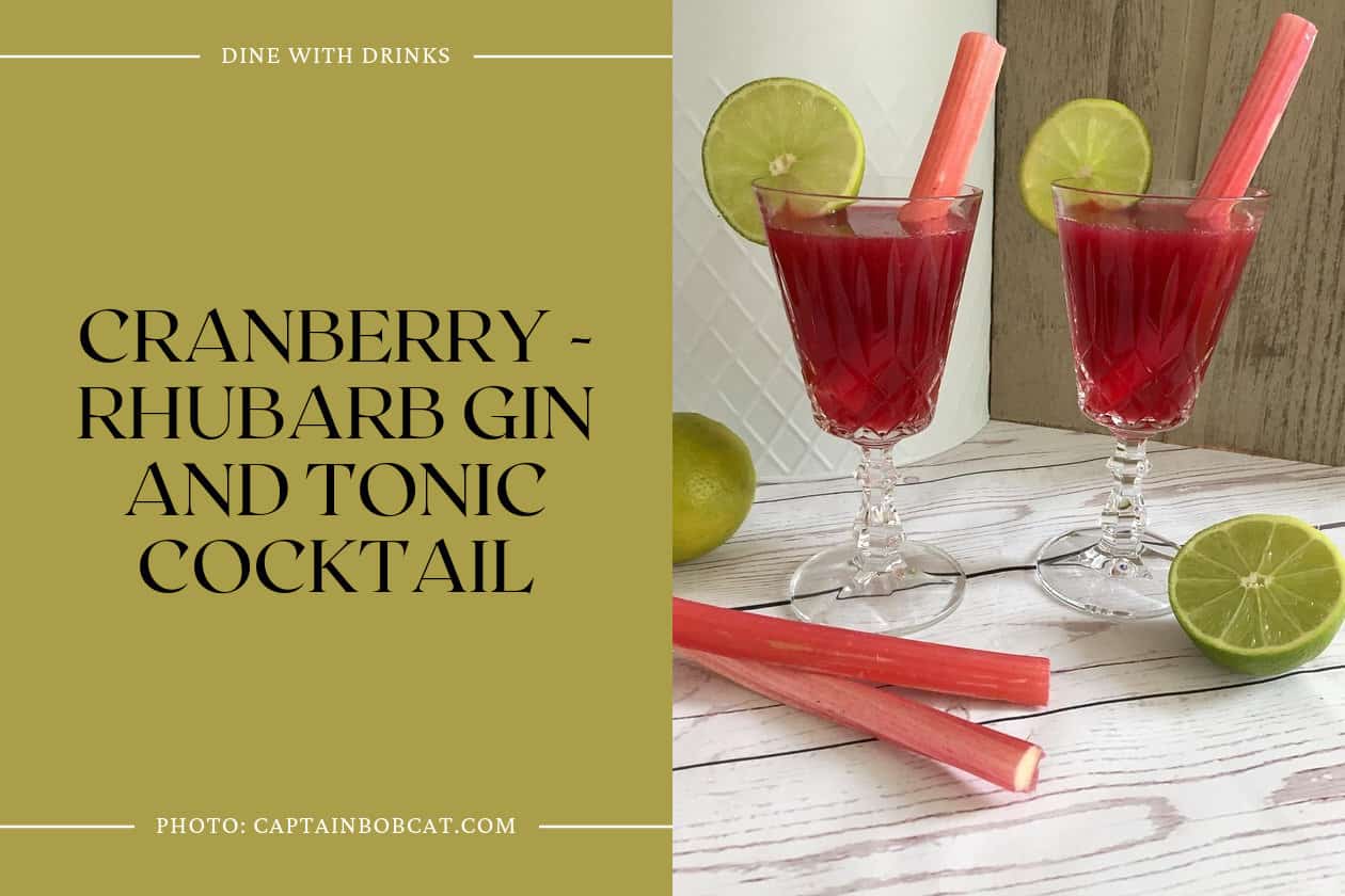 Cranberry - Rhubarb Gin And Tonic Cocktail