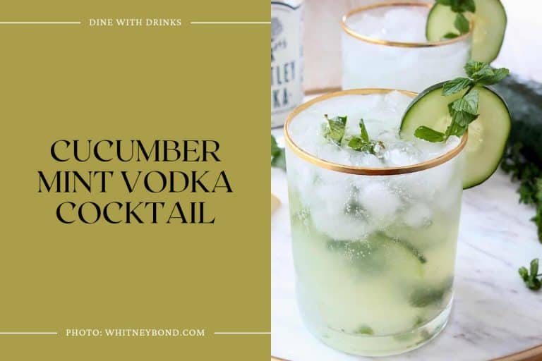 30 Mint and Vodka Cocktails to Freshen Up Your Happy Hour! DineWithDrinks