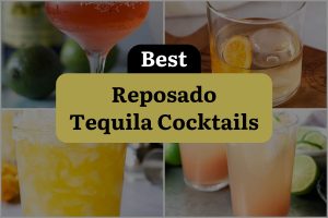 18 Reposado Tequila Cocktails That Will Shake Up Your World!