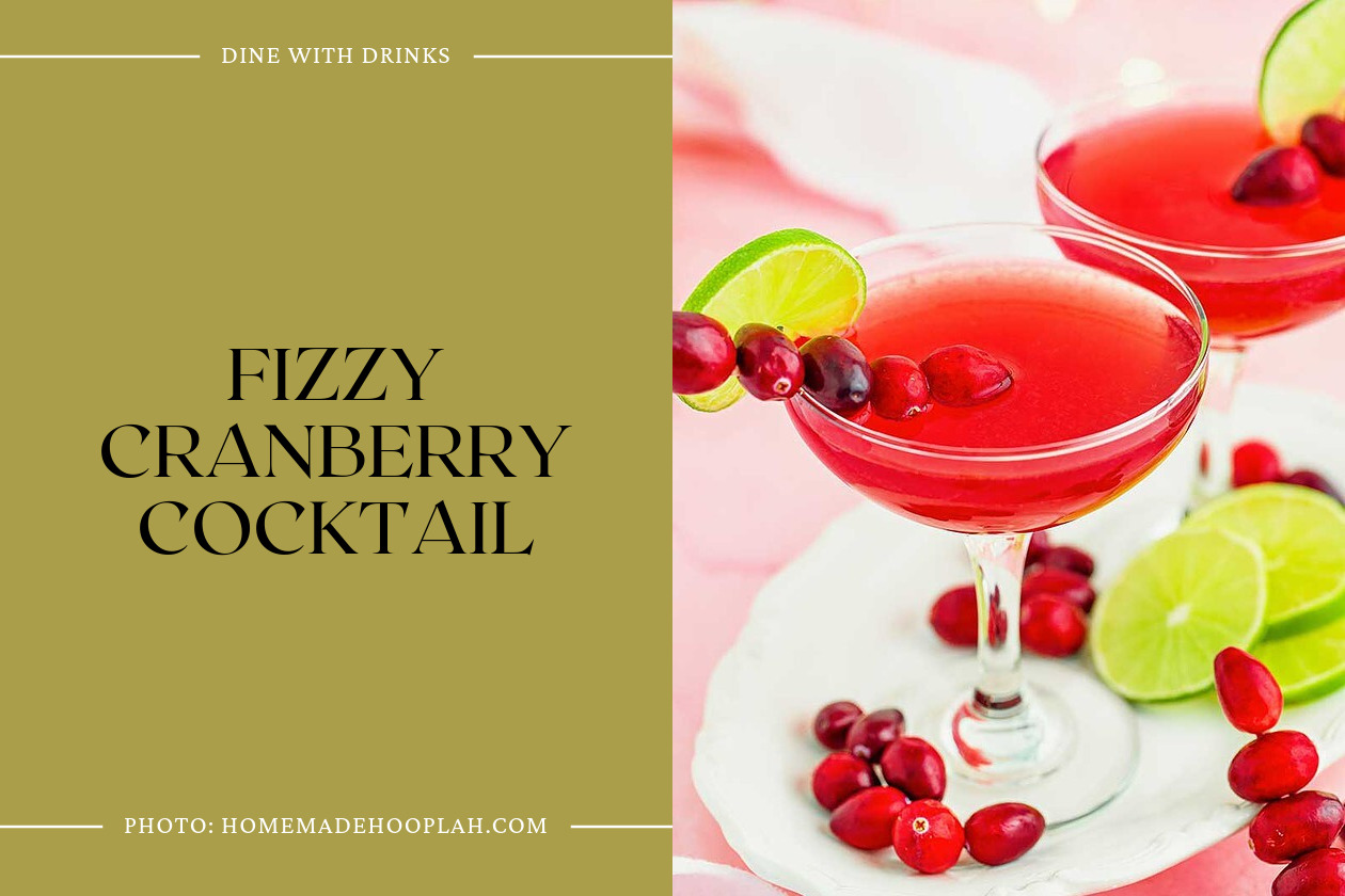 Fizzy Cranberry Cocktail