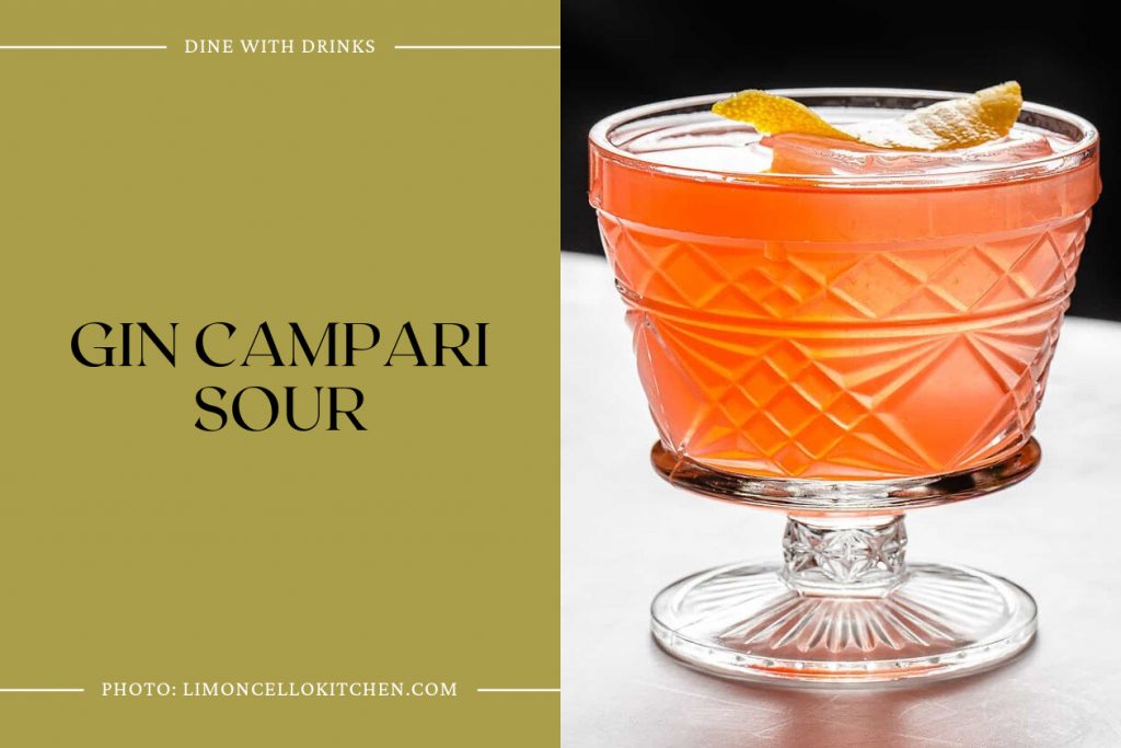 18 Gin Campari Cocktails to Sip and Savor All Summer Long DineWithDrinks