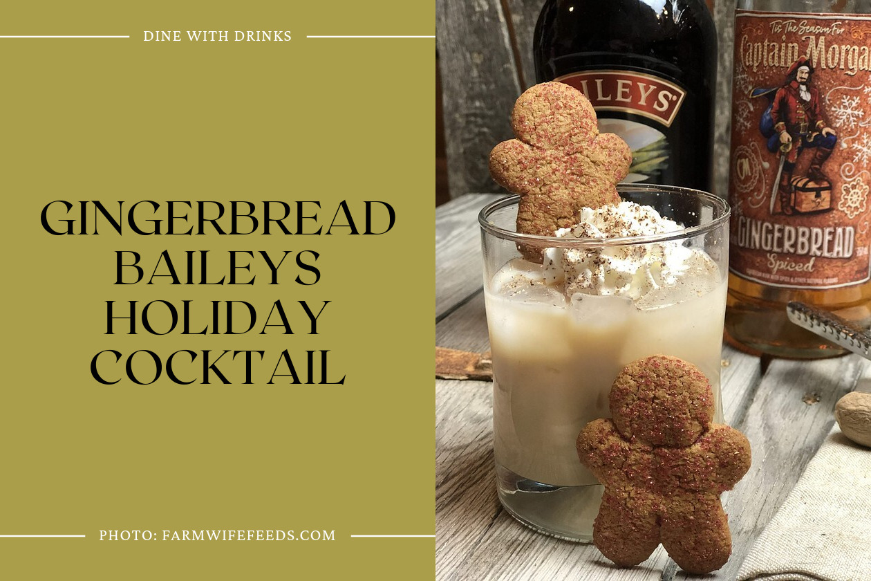 Gingerbread Baileys Holiday Cocktail