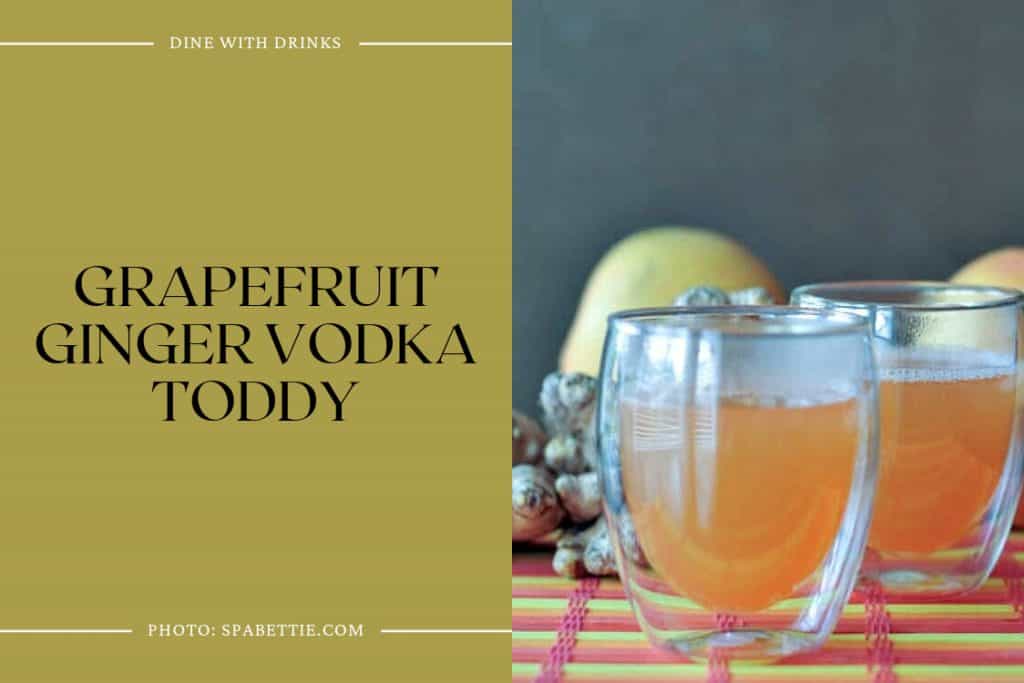28 Ginger Vodka Cocktails That Will Spice Up Your Life! DineWithDrinks