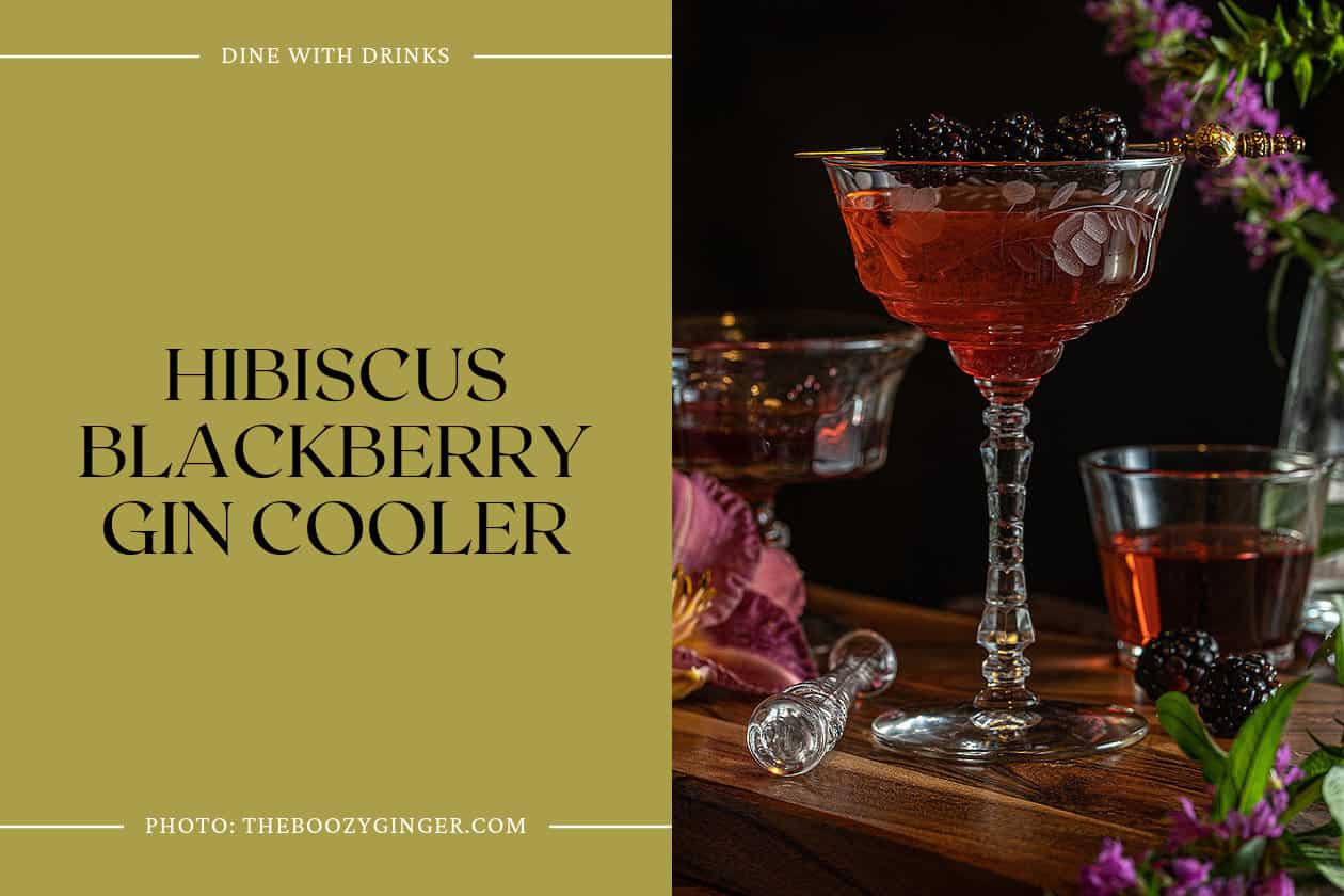 Hibiscus Blackberry Gin Cooler