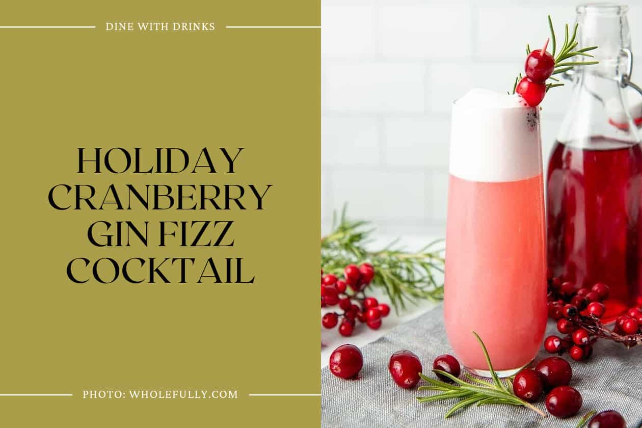 Holiday Cranberry Gin Fizz Cocktail