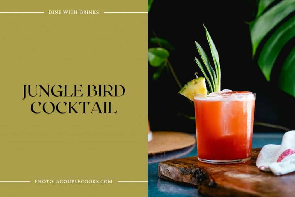 6 Bird Themed Cocktails To Get Your Wings Flapping DineWithDrinks   Jungle Bird Cocktail 34 1024x683 