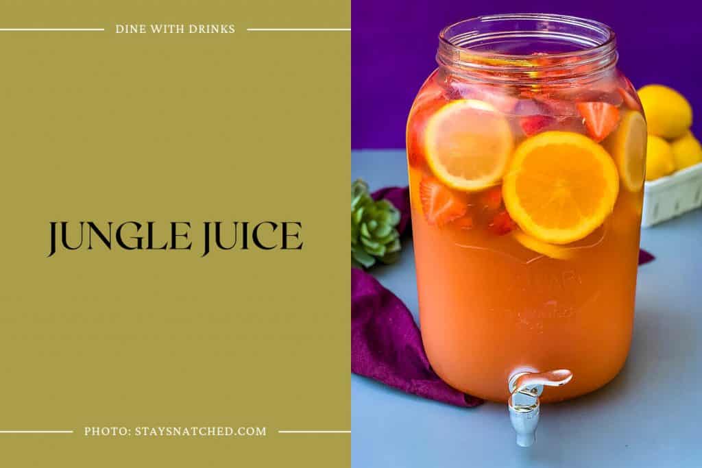 31 Vodka and Juice Cocktails to Get Your Fruity Fix! DineWithDrinks