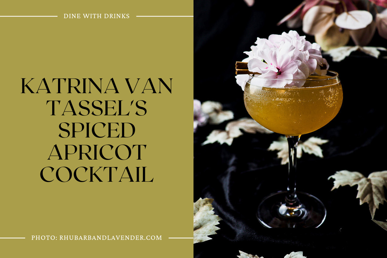 Katrina Van Tassel's Spiced Apricot Cocktail