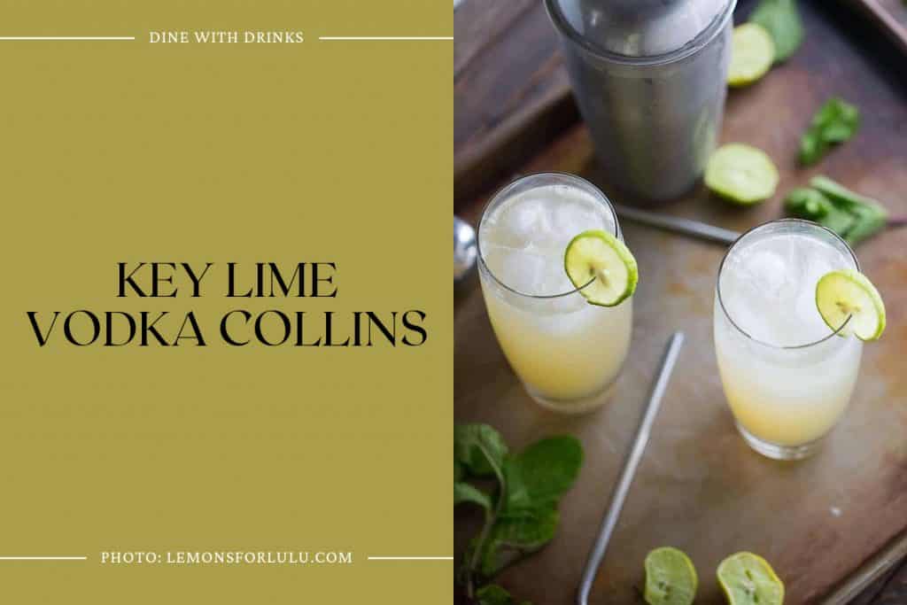27 Key Lime Cocktails to Sip Your Way Through Summer DineWithDrinks