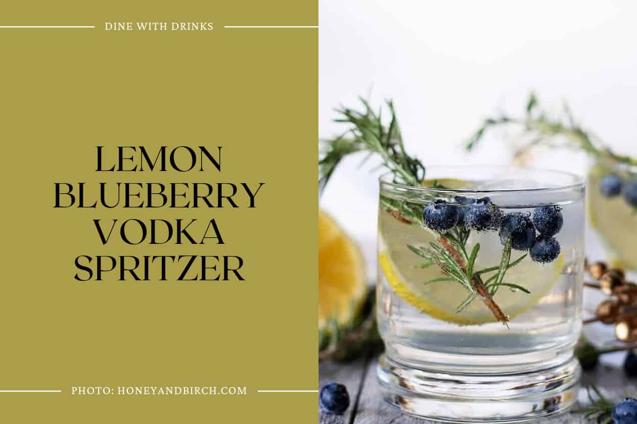 Lemon Blueberry Vodka Spritzer