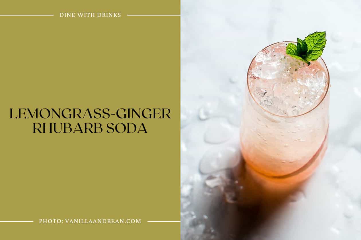 Lemongrass-Ginger Rhubarb Soda