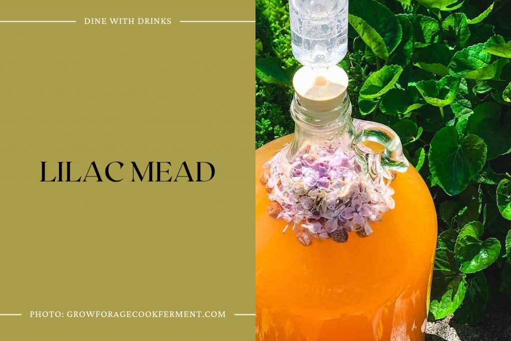 7 Mead Cocktails to Sip, Savor, and Get Buzzed With! DineWithDrinks
