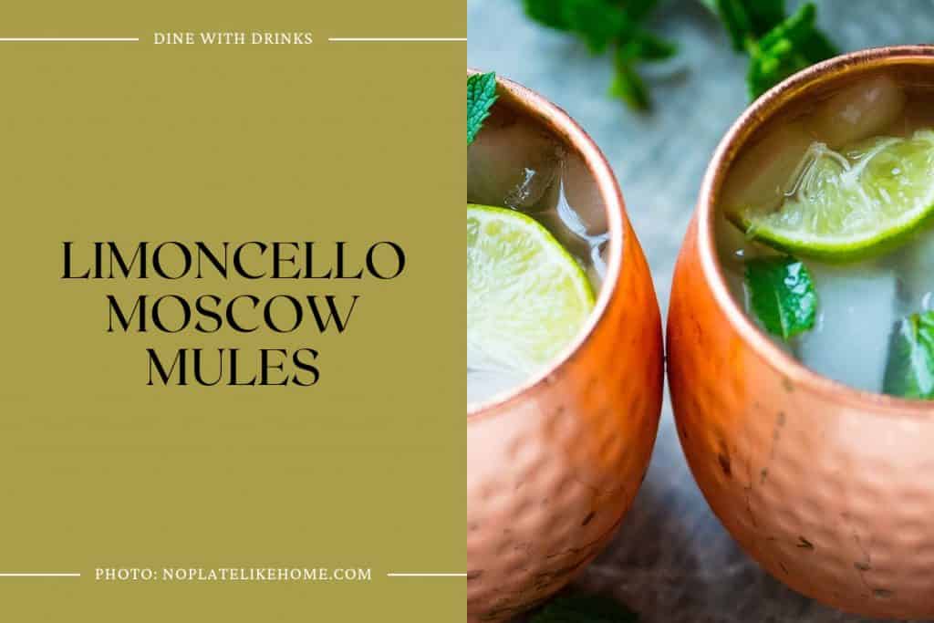 28 Ginger Beer Vodka Cocktails to Spice Up Your Life! DineWithDrinks