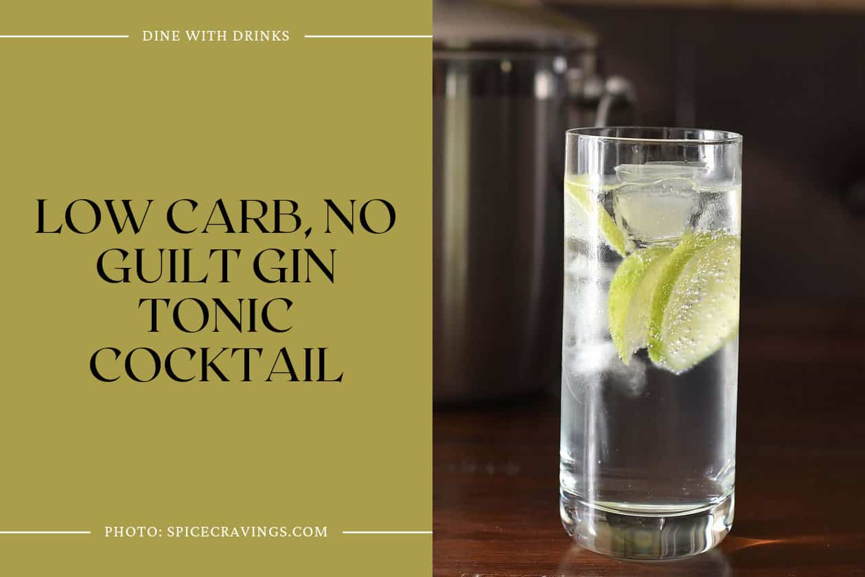 Low Carb, No Guilt Gin Tonic Cocktail