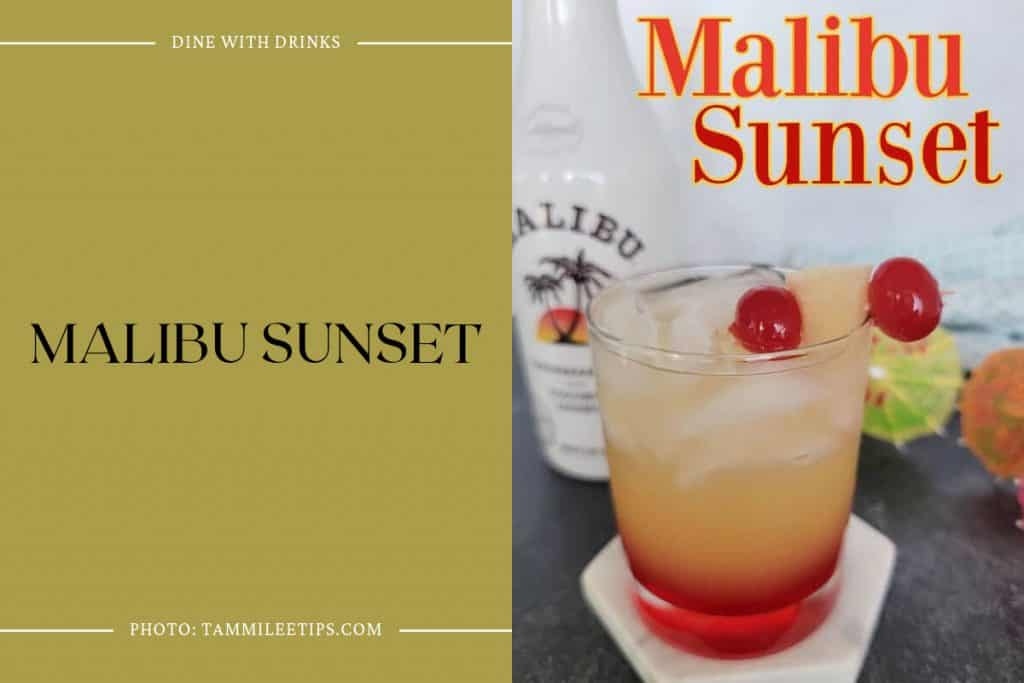 17 Malibu Cocktails to Get Your Tropical Party Started DineWithDrinks