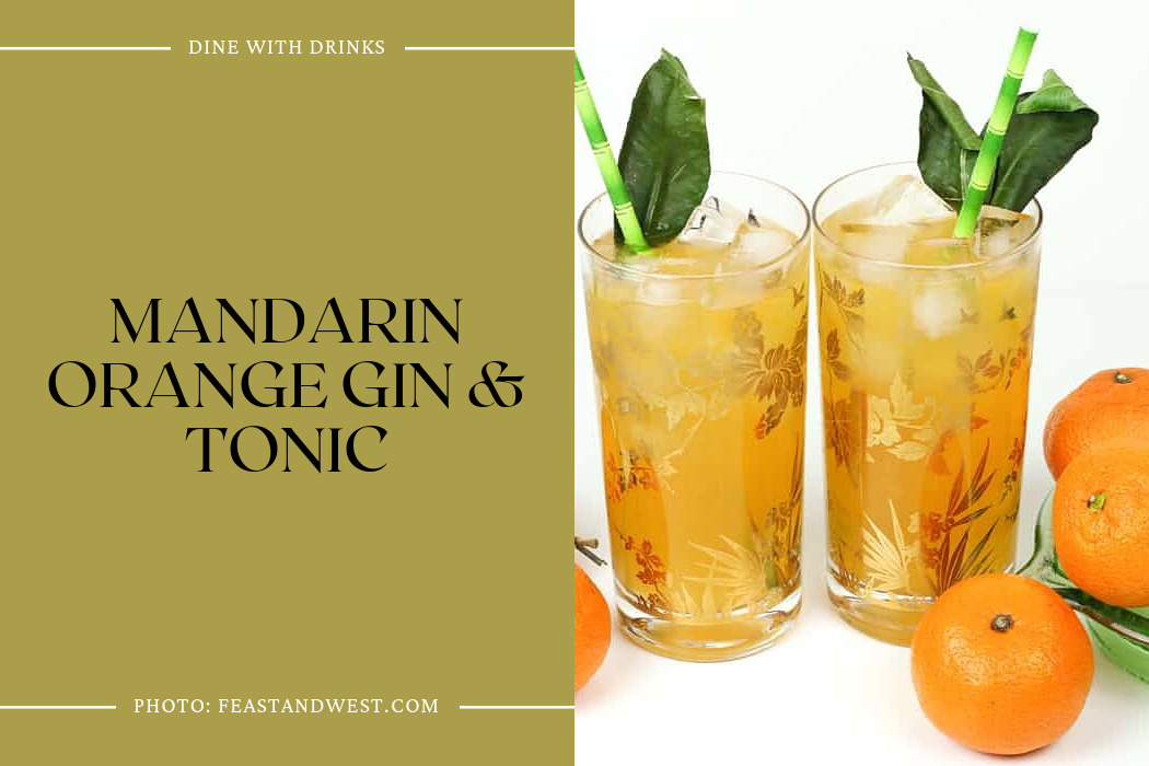 Mandarin Orange Gin & Tonic