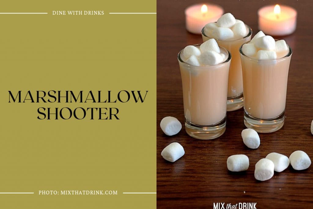 17 Shooter Cocktails That Will Make Your Night Explosive! | DineWithDrinks