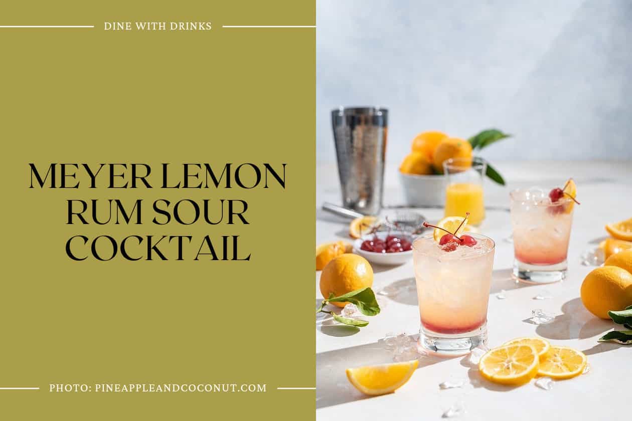Meyer Lemon Rum Sour Cocktail