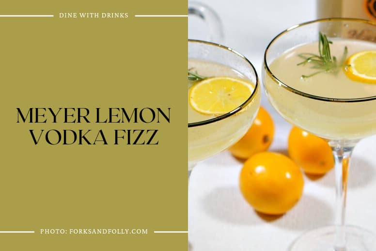 Meyer Lemon Vodka Fizz
