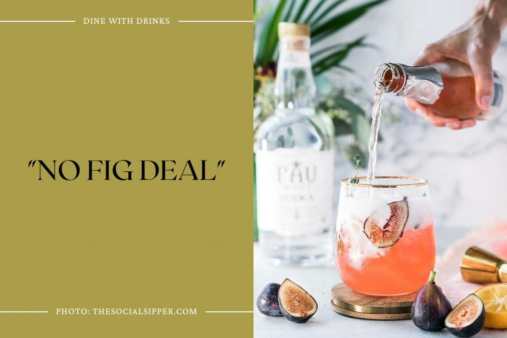 12 Fig Vodka Cocktails That Will Sweep You Off Your Feet DineWithDrinks
