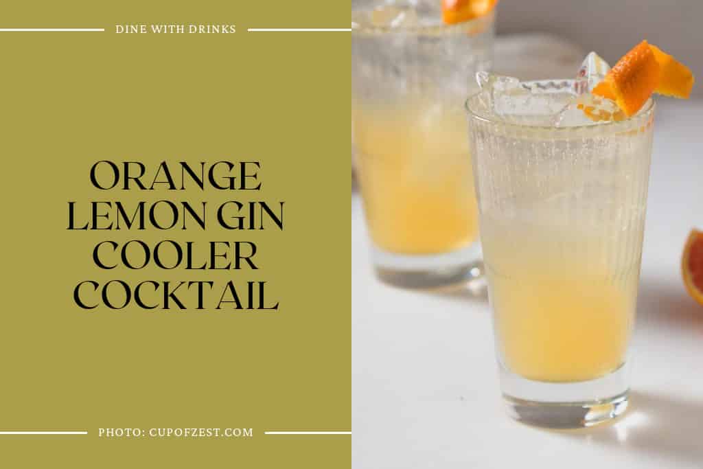 Orange Lemon Gin Cooler Cocktail