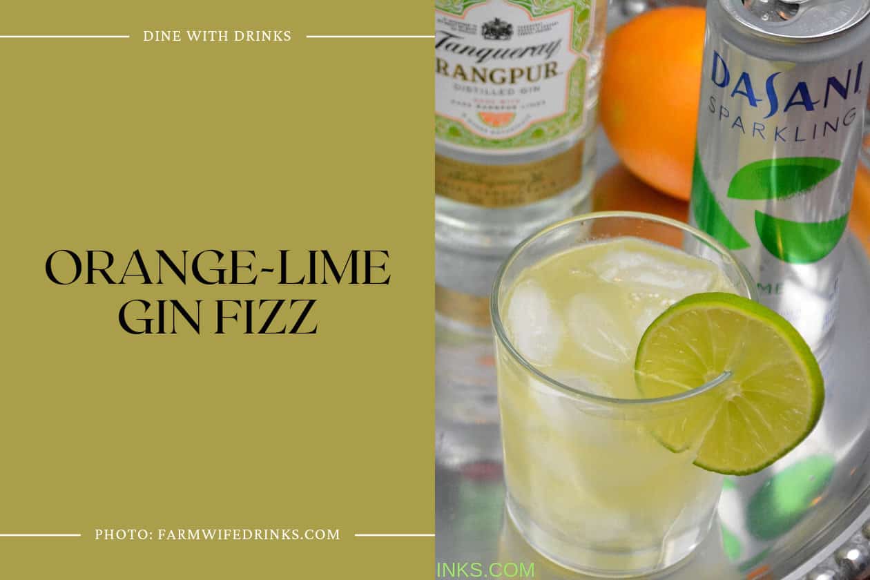 Orange-Lime Gin Fizz