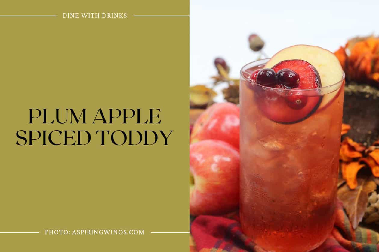 Plum Apple Spiced Toddy
