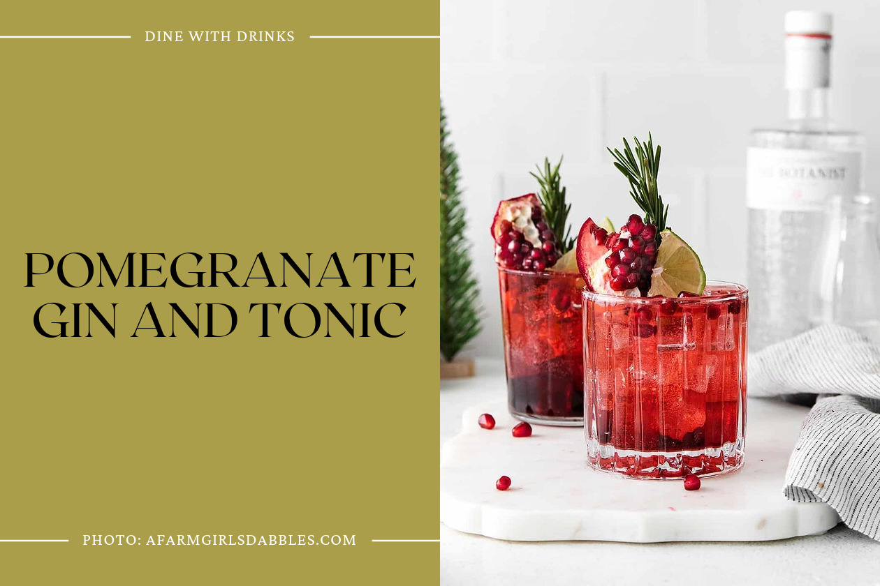 Pomegranate Gin And Tonic