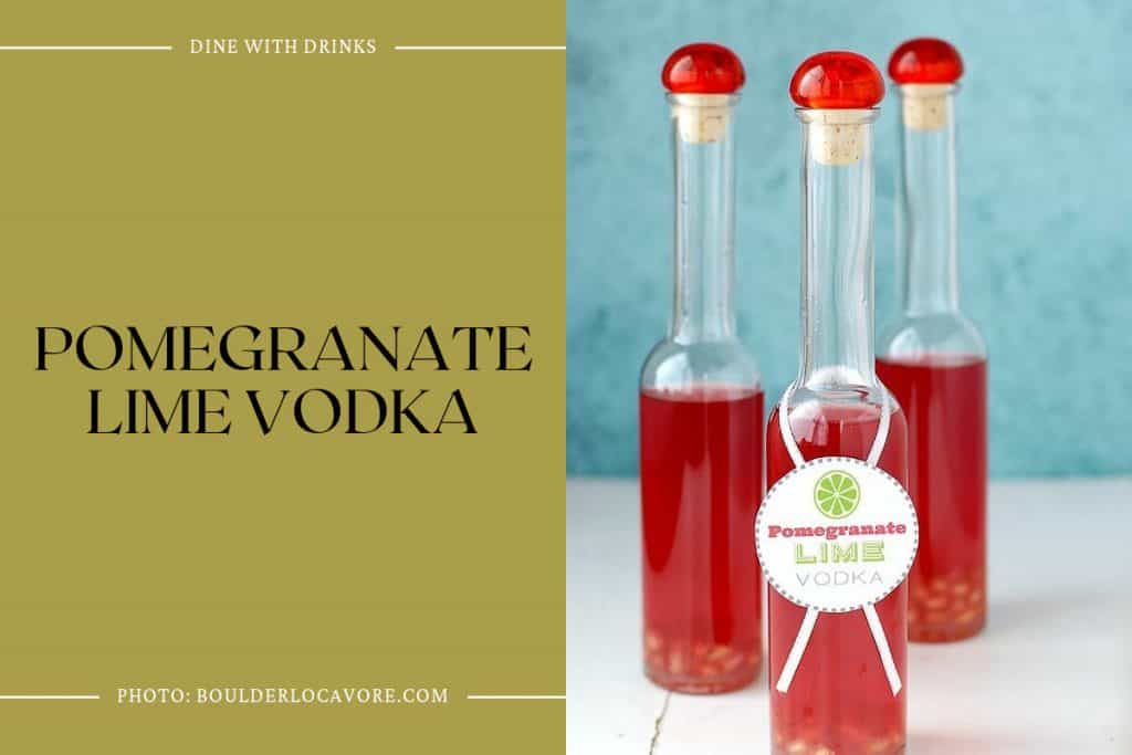 27 Pomegranate Vodka Cocktails to Shake Up Your Night! DineWithDrinks