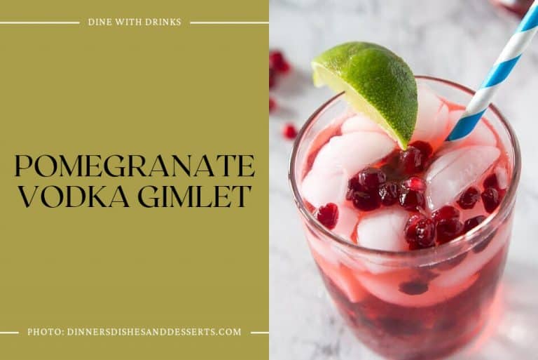 27 Pomegranate Vodka Cocktails to Shake Up Your Night! DineWithDrinks