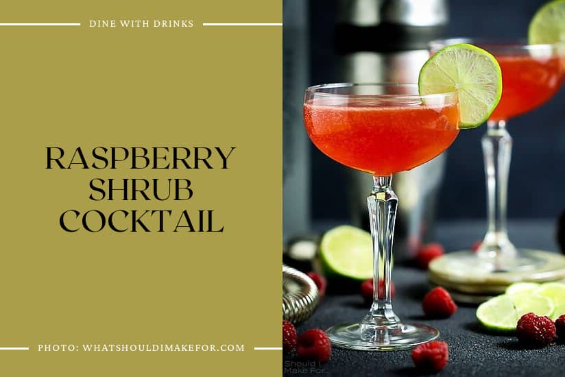 Raspberry Shrub Cocktail