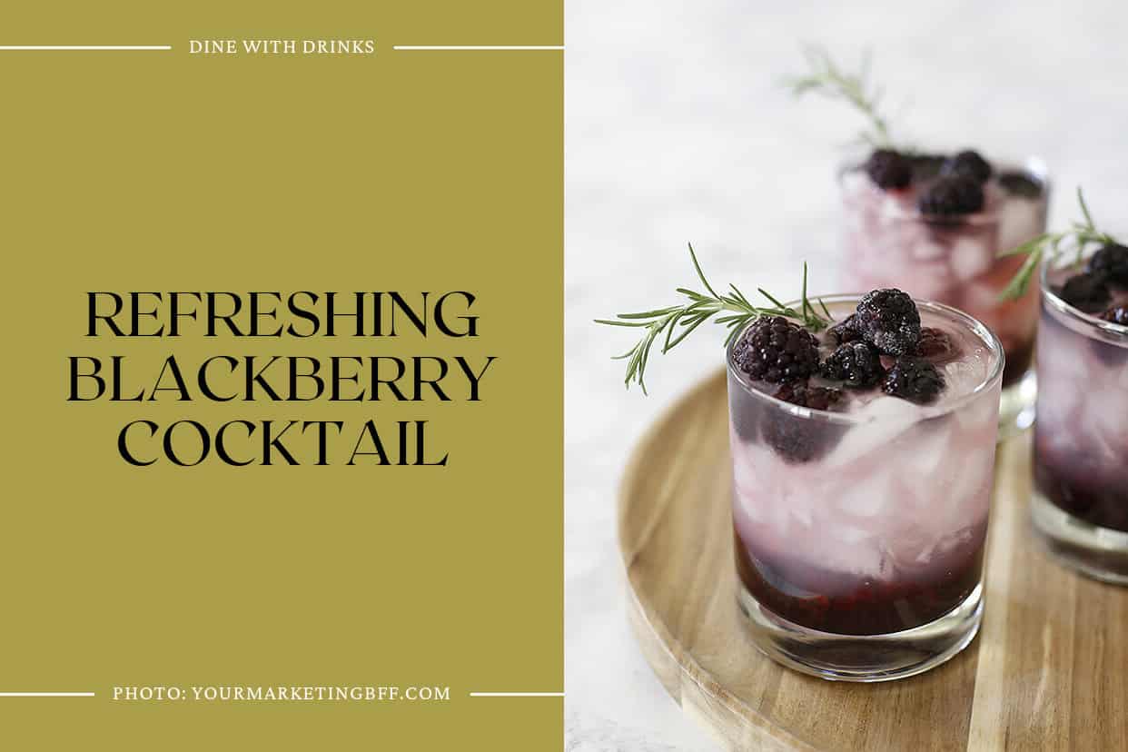 Refreshing Blackberry Cocktail