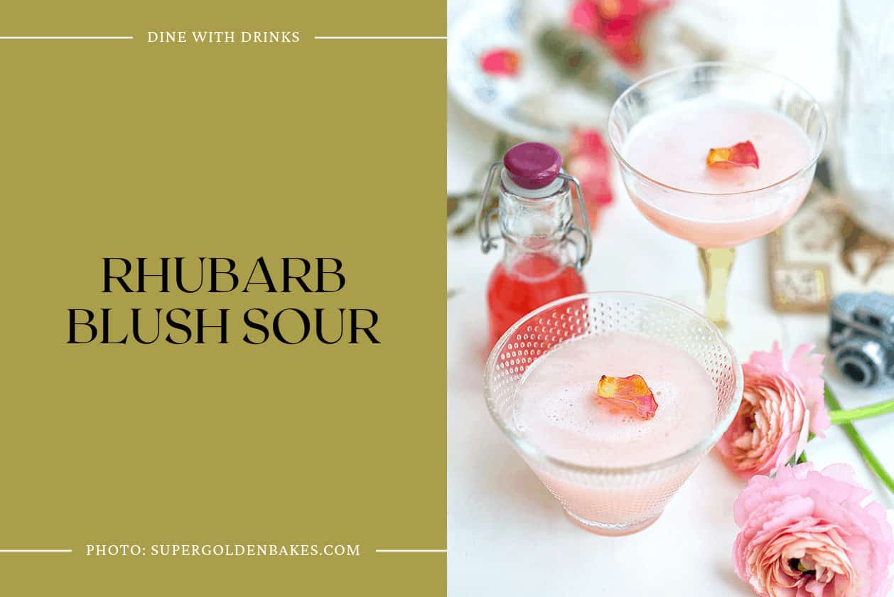 Rhubarb Blush Sour