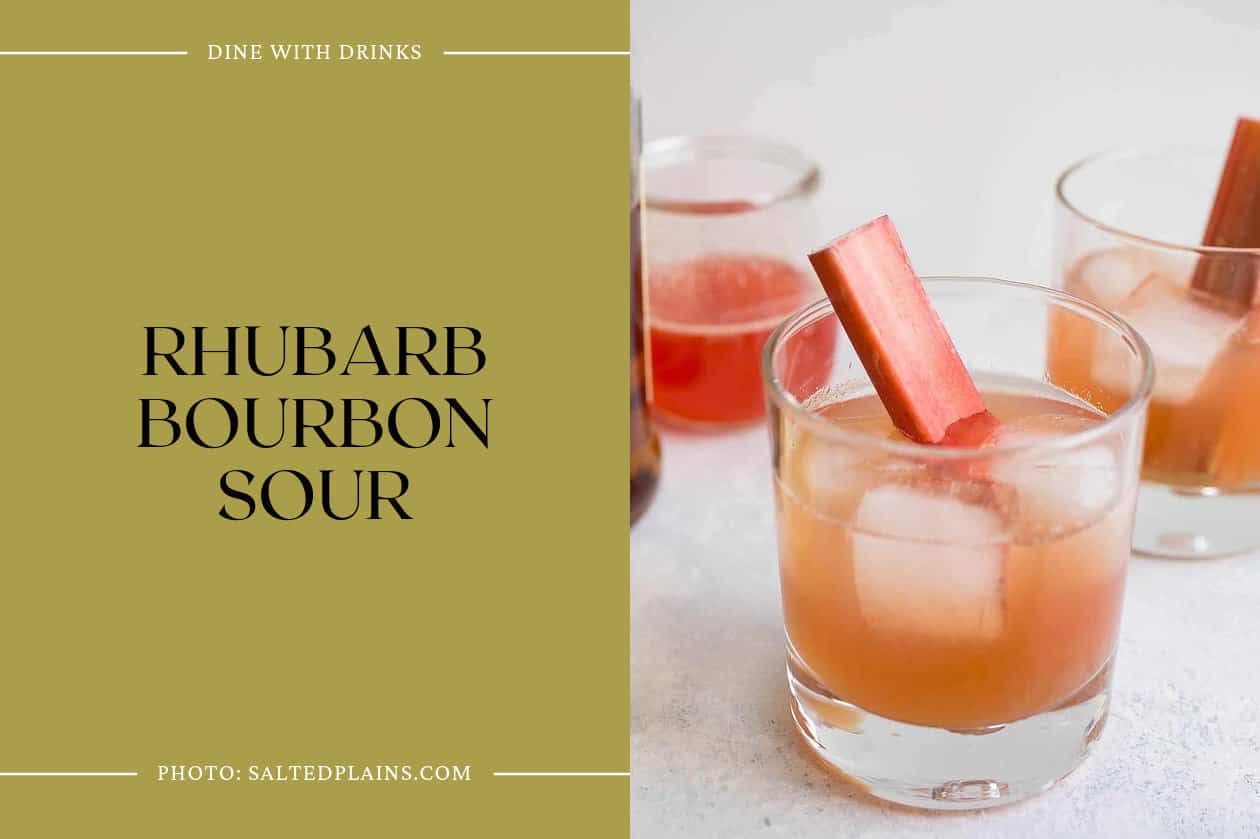 Rhubarb Bourbon Sour