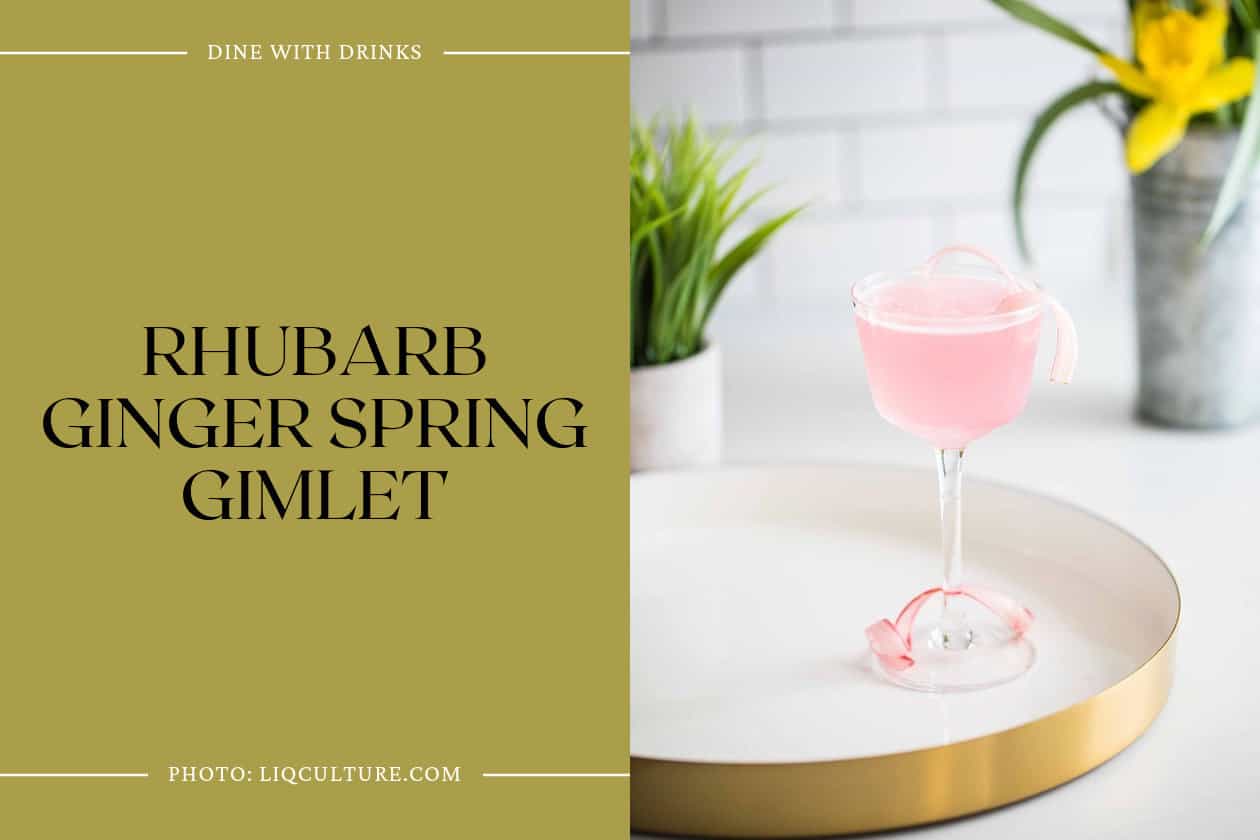 Rhubarb Ginger Spring Gimlet