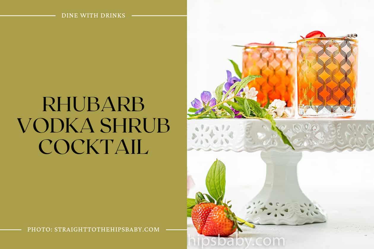 Rhubarb Vodka Shrub Cocktail