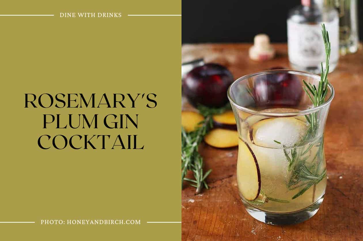 Rosemary's Plum Gin Cocktail