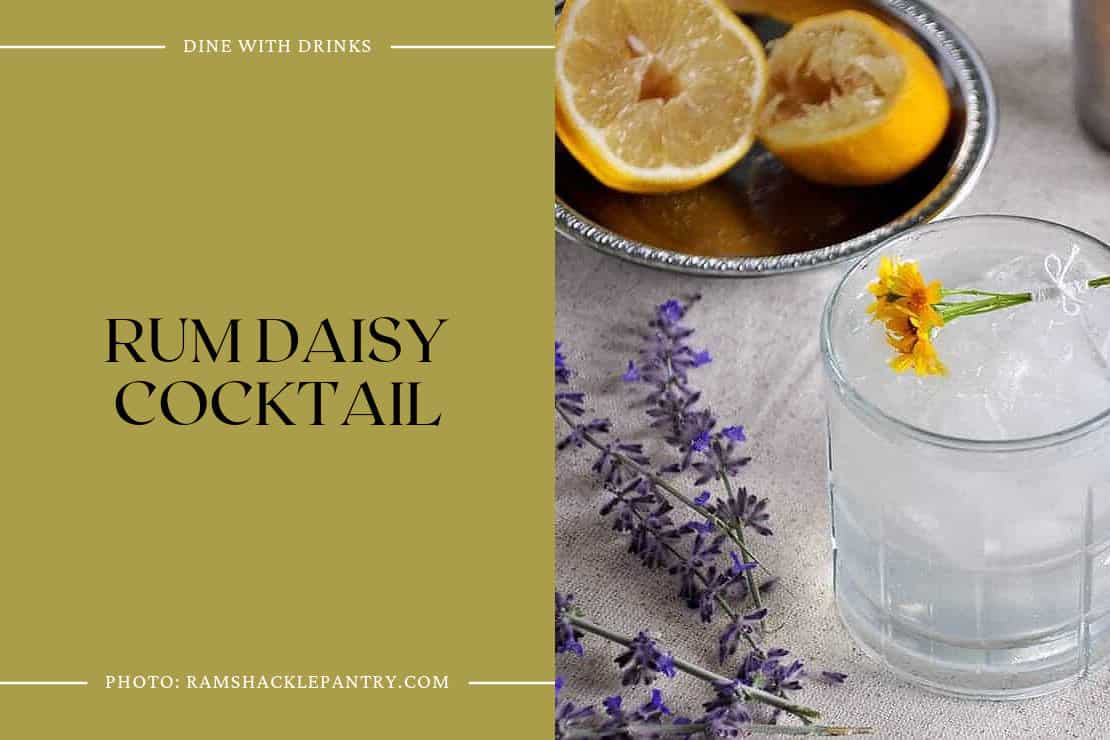 Rum Daisy Cocktail