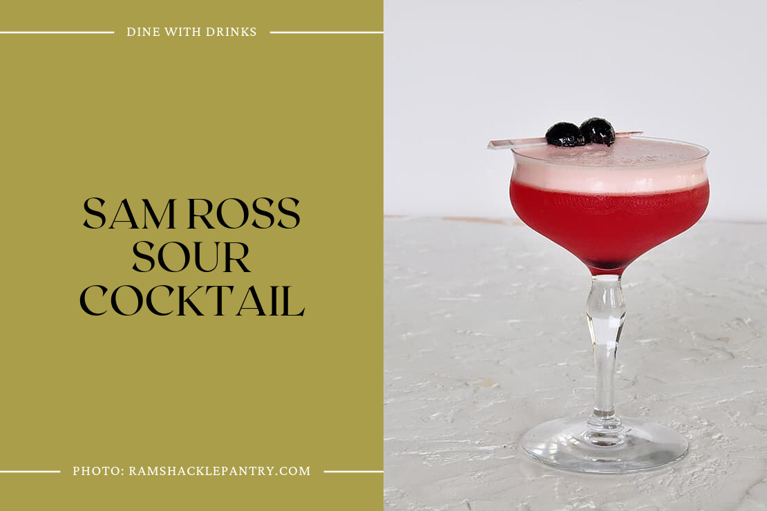 Sam Ross Sour Cocktail