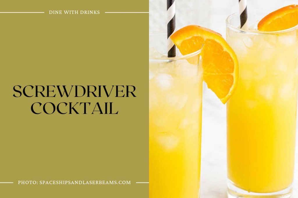 29 Vodka Orange Juice Cocktails to Raise Your Spirits! DineWithDrinks