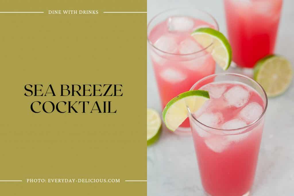 27 Easy Tito's Cocktails That Will Shake Up Your World! DineWithDrinks