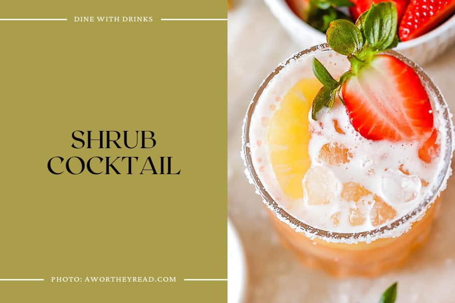Shrub Cocktail