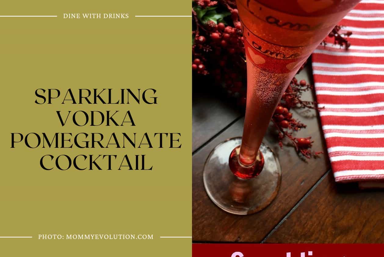 Sparkling Vodka Pomegranate Cocktail