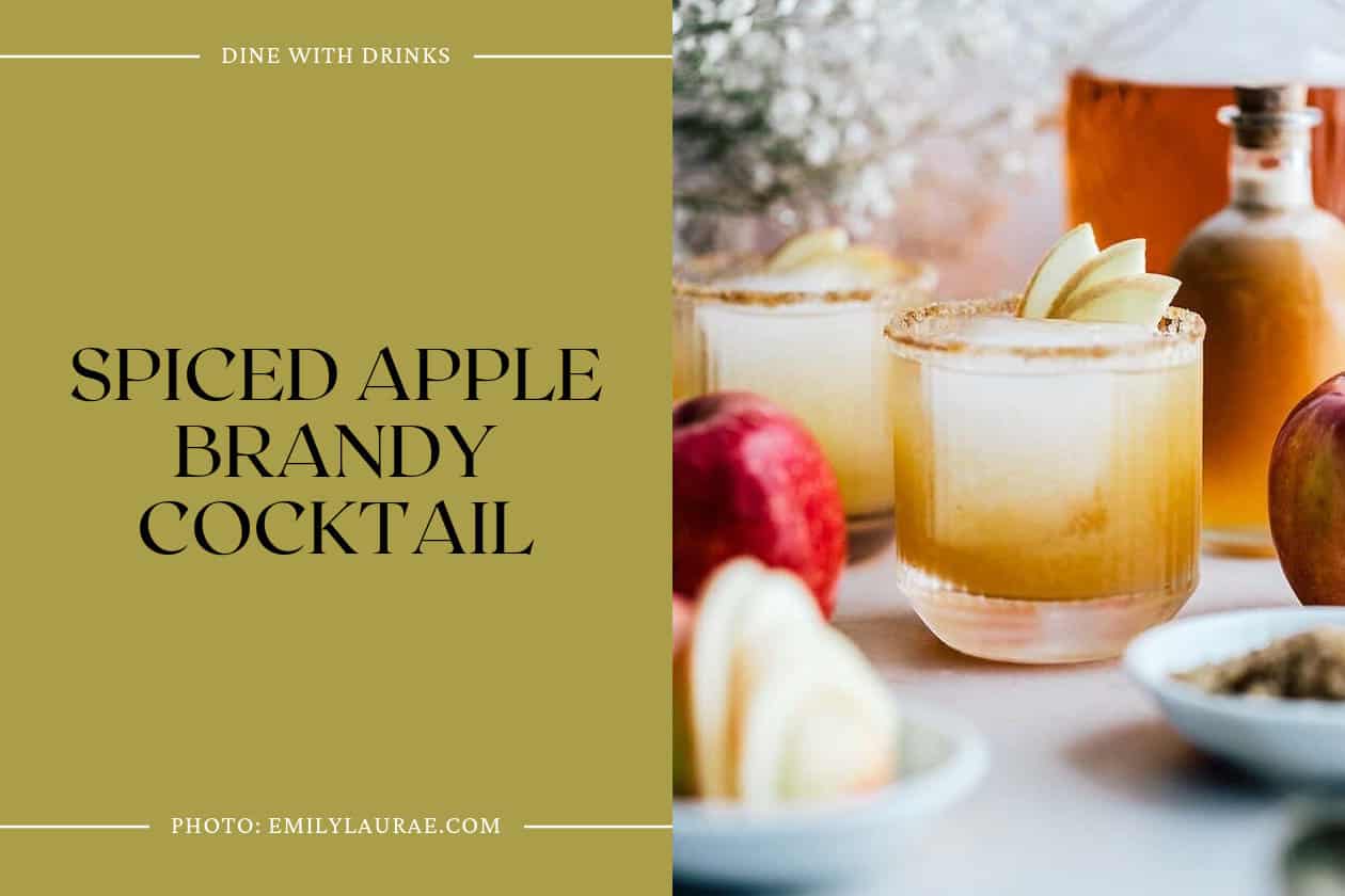 Spiced Apple Brandy Cocktail